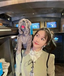 ​“小魔仙”刘美含游乐园写真，在美女和搞笑女之间反复横跳