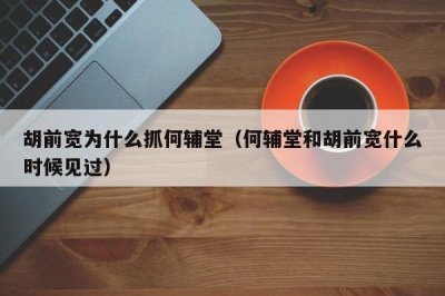 ​胡前宽为什么抓何辅堂（何辅堂和胡前宽什么时候见过）