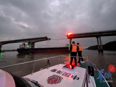 ​沥心沙大桥被撞，广州海警局第一时间出警救援