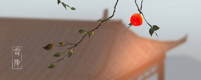 ​关于霜降的古诗 关于霜降的古诗词