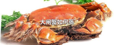 ​清蒸大闸蟹视频教程 大闸蟹怎样蒸着好吃视频教学