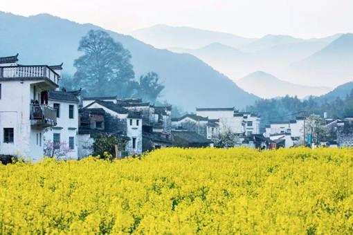 关于描写春分时节的诗有哪些?