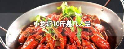 ​10个人多少斤龙虾 十个人小龙虾几斤