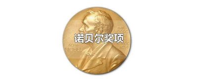 ​爱因斯坦获得的诺贝尔奖项 瑞利因为哪一样成果取得了诺贝尔奖项