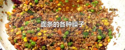 ​西红柿茄子臊子面 西红柿臊子面的做法大全家常