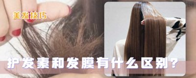 ​护发素和发膜的区别（护发素和发膜哪个更好）