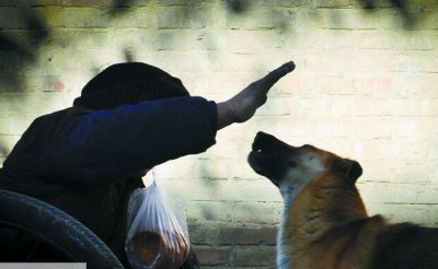 ​德牧被主人打会记仇吗（狗狗被主人打了以后会报复吗）