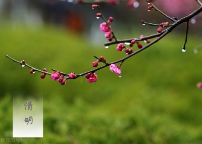 ​上坟时间有什么讲究和忌讳（清明前后上坟的说法避讳 ）