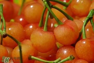 樱桃不洗能吃吗?没洗的樱桃可以吃吗 樱桃不洗能吃吗?没洗的樱桃可以吃吗