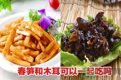 ​春笋和木耳可以搭配吃吗?春笋木耳全面解析