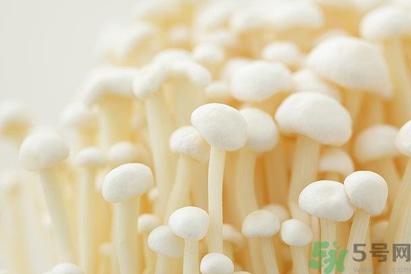 吃金针菇要注意什么?金针菇的食用禁忌 吃金针菇要注意什么?金针菇的食用禁忌