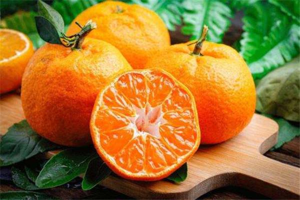 柑橘可以煮吗 柑橘吃法 柑橘可以煮吗 柑橘吃法