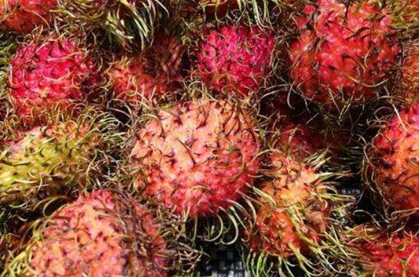 红毛丹的热量 红毛丹的核为什么都连着肉 红毛丹的热量 红毛丹的核为什么都连着肉