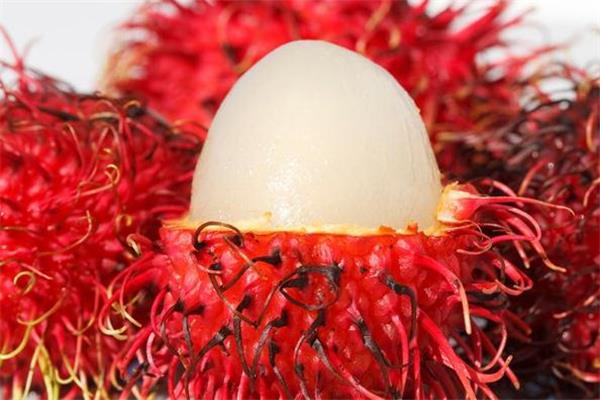 吃红毛丹可以喝酸奶吗 红毛丹和酸奶能一起吃吗