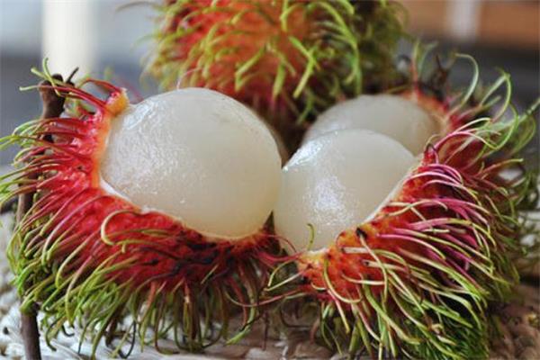 吃红毛丹可以喝酸奶吗 红毛丹和酸奶能一起吃吗