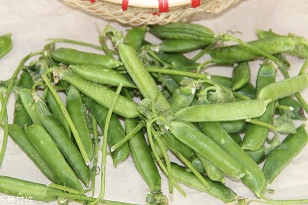 豌豆怎么挑 按照这个方法来