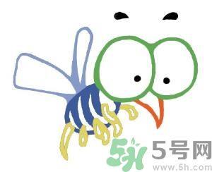 夏天家中有苍蝇怎么办?夏天如何灭苍蝇? 夏天家中有苍蝇怎么办?夏天如何灭苍蝇?