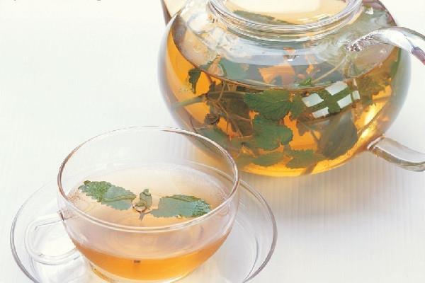 薄荷茶会刺激胃吗 薄荷茶不适合什么人喝 薄荷茶会刺激胃吗 薄荷茶不适合什么人喝