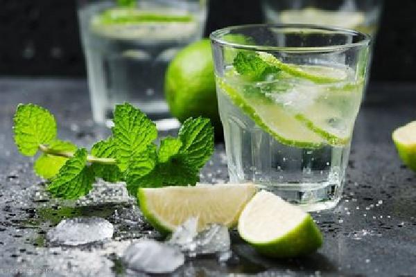 薄荷茶会刺激胃吗 薄荷茶不适合什么人喝 薄荷茶会刺激胃吗 薄荷茶不适合什么人喝