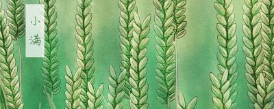 ​小满是几月几日