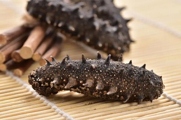 生活干海参多少钱一斤市场价 干海参是怎么制成的 3