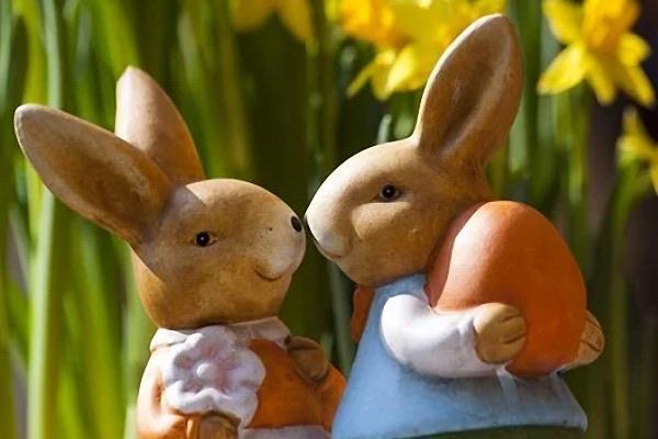 生活1999年属什么生肖:生肖兔五行属木 1