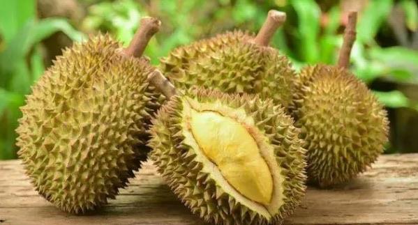 生活榴莲品种十大排行榜(最好吃的榴莲品种推荐) 3