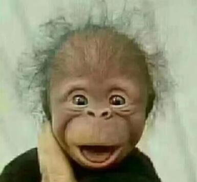 哄女生开心的搞笑图片3