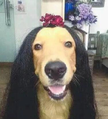 哄女生开心的搞笑图片4