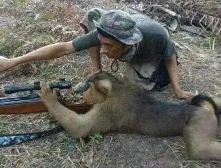 哄女生开心的搞笑图片6