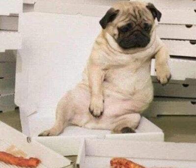 哄女生开心的搞笑图片7