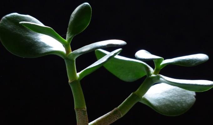 9fd4243dd50aef9005f299d11716383f.jpg 未命名.jpg