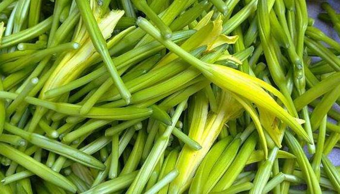 金针菜最好吃的做法,简单美味又下饭,看看你喜欢吃不?