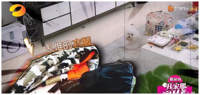 袁姗姗被全网黑不是没有理由的,看到她的日常你就知道为什么了