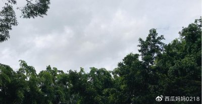 ​慢养，给孩子一个好性格