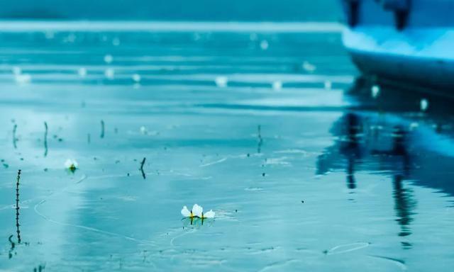 凉山市再遭火灾,大火焚烧前的它,曾风恬月朗如隐世仙境