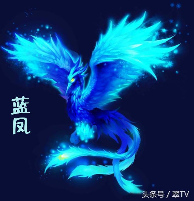 龙生九子，凤育九雏！有两个现在还真实活在世界上！