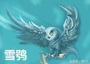 龙生九子，凤育九雏！有两个现在还真实活在世界上！