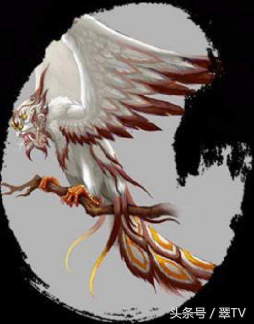 龙生九子，凤育九雏！有两个现在还真实活在世界上！