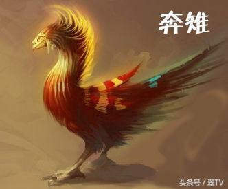 龙生九子，凤育九雏！有两个现在还真实活在世界上！