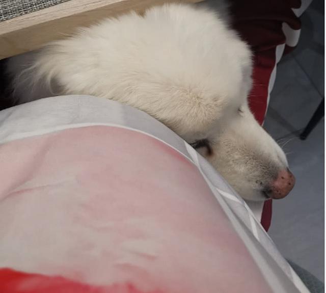 怀孕傻三年,李艾晒照却忘修图,素颜一面,张徐宁后悔了?