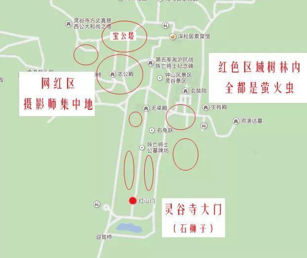 灵谷寺萤火虫, 南京仲夏夜的颜值巅峰