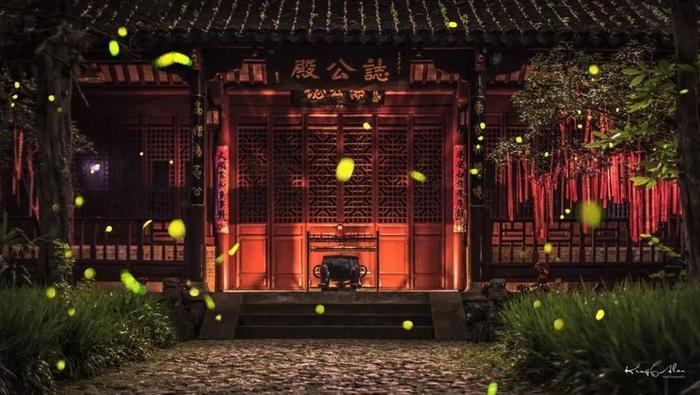 灵谷寺萤火虫, 南京仲夏夜的颜值巅峰