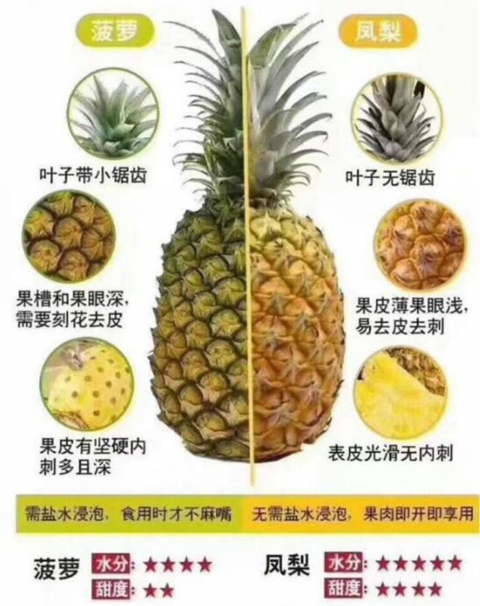 这才是菠萝的正确吃法，比泡盐水还好吃，酸甜脆爽更胜凤梨！