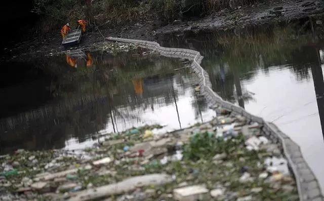 天天喊环保!关停小企业,取缔废品站,禁养又禁烧后的沉默