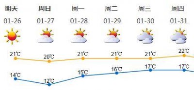 ​汪！深圳首个宠物主题社区公园来啦！放开那“骨头”我要坐！