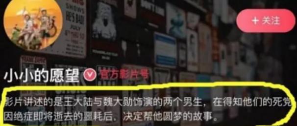 番位之争持续发酵,彭昱畅与《小小》片方解约,被央视都直接点名