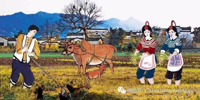 畲族的传统年节知多少?带你了解畲族年节习俗