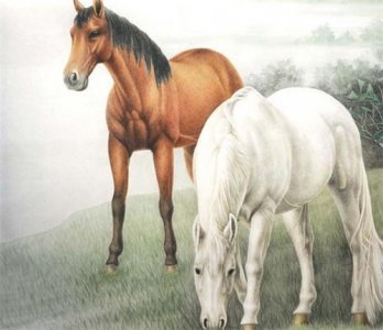 ​属羊男和什么属相最配 79年属羊和什么属相最配