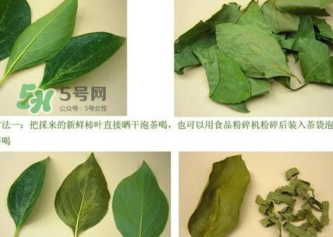 柿子叶能治胃病吗？柿子叶什么时候采最好